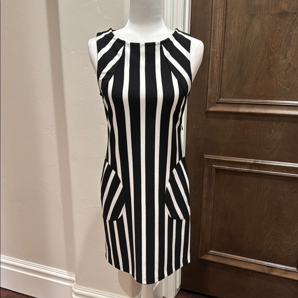 Yoana Baraschi Black and White Striped Dress